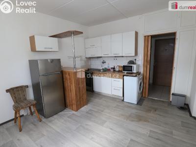 Pronájem bytu 1+1 Kraslice, B. Smetany č. 5