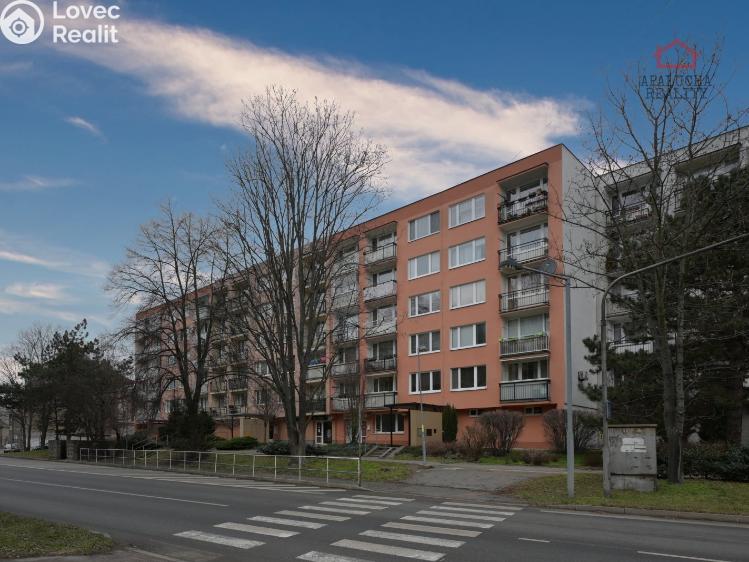 Pronájem bytu 1+1 Kralupy nad Vltavou, Přemyslova 1050 č. 1