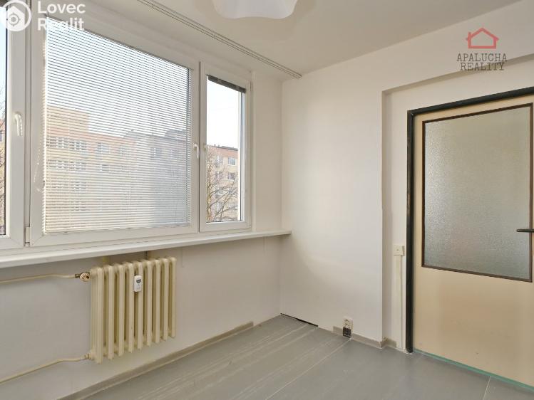 Pronájem bytu 1+1 Kralupy nad Vltavou, Přemyslova 1050 č. 4