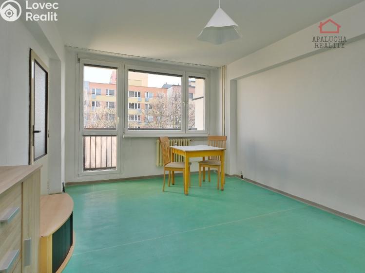 Pronájem bytu 1+1 Kralupy nad Vltavou, Přemyslova 1050 č. 5