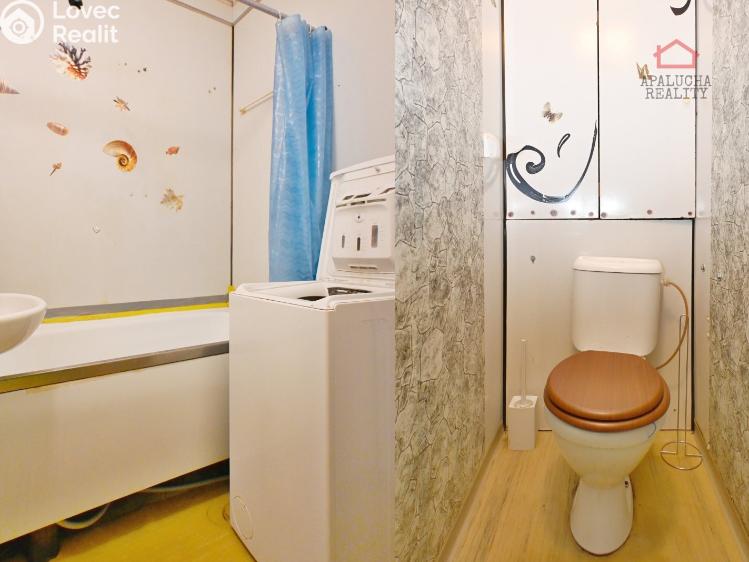 Pronájem bytu 1+1 Kralupy nad Vltavou, Přemyslova 1050 č. 8