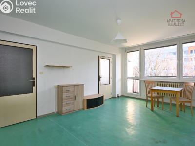 Pronájem bytu 1+1 Kralupy nad Vltavou, Přemyslova 1050 č. 2