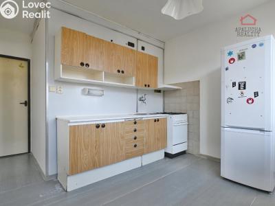 Pronájem bytu 1+1 Kralupy nad Vltavou, Přemyslova 1050 č. 3