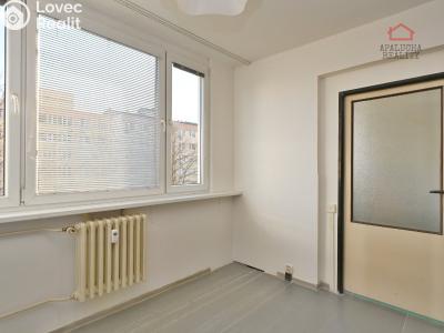 Pronájem bytu 1+1 Kralupy nad Vltavou, Přemyslova 1050 č. 4