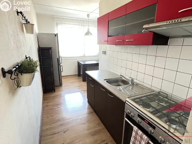 Pronájem bytu 3+1 Plzeň, Na Dlouhých 1029/29 č. 10