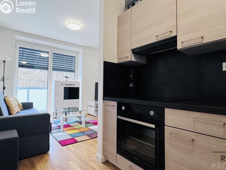 Pronájem bytu 1+KK Dubňany, Hornická 1786 č. 2