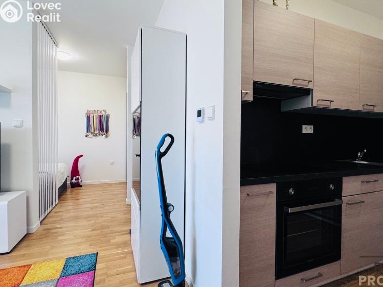 Pronájem bytu 1+KK Dubňany, Hornická 1786 č. 3