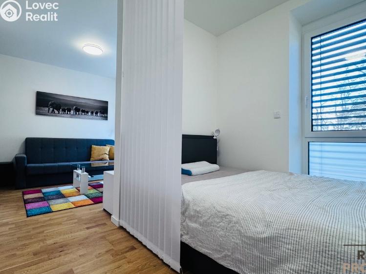 Pronájem bytu 1+KK Dubňany, Hornická 1786 č. 7