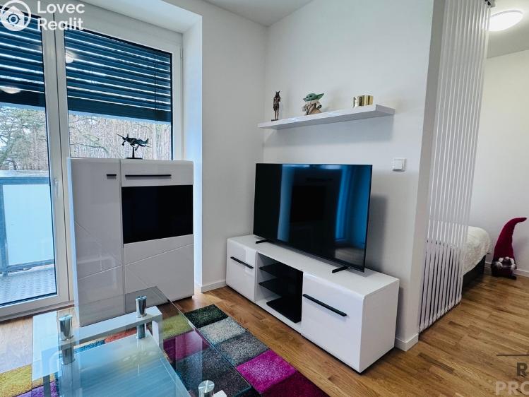 Rent apartment 1+KK Dubňany, Hornická 1786 č. 5