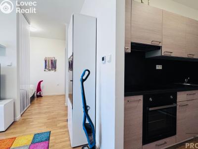 Pronájem bytu 1+KK Dubňany, Hornická 1786 č. 3