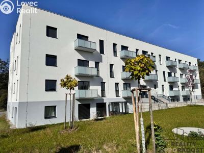 Rent apartment 1+KK Dubňany, Hornická 1786 č. 12