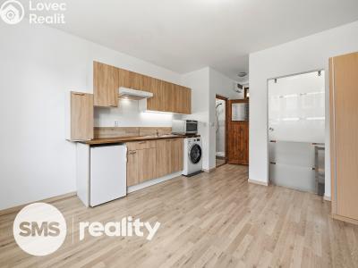 Prodej bytu 1+1 Brno, Gallašova č. 6