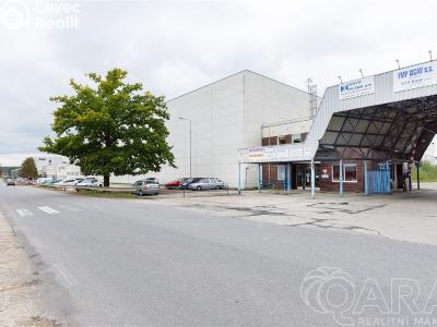 Rent warehouse Planá nad Lužnicí, Chýnovská č. 1