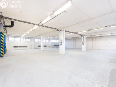 Rent warehouse Planá nad Lužnicí, Chýnovská č. 2