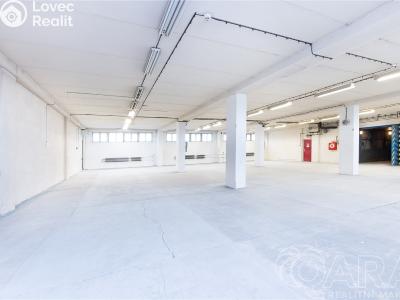 Rent warehouse Planá nad Lužnicí, Chýnovská č. 5
