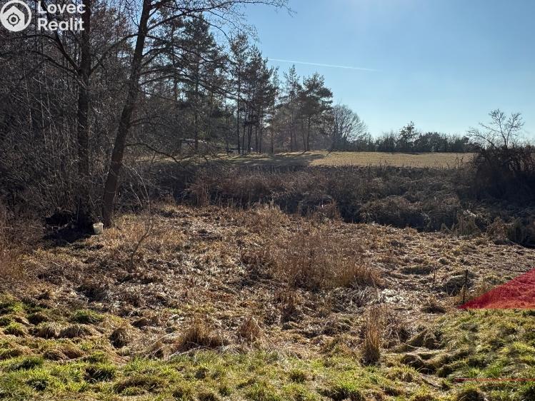 Продажа хижины Velký Bor č. 19