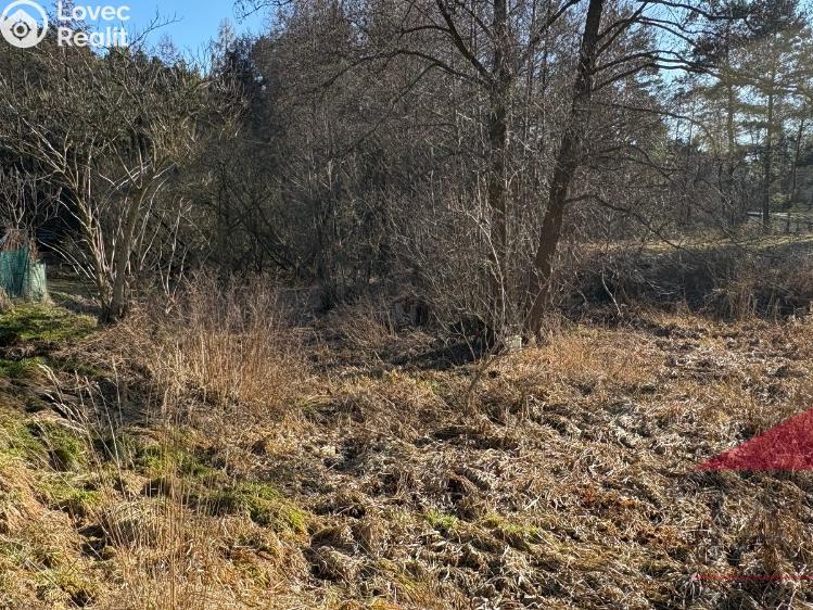 Продажа хижины Velký Bor č. 20