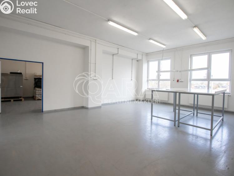 Rent warehouse Frenštát pod Radhoštěm, Martinská čtvrť 1698 č. 6