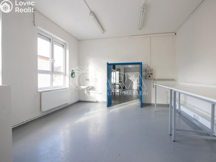 Rent warehouse Frenštát pod Radhoštěm, Martinská čtvrť 1698 č. 8