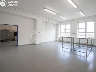 Rent warehouse Frenštát pod Radhoštěm, Martinská čtvrť 1698 č. 6