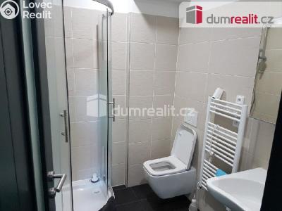 Pronájem bytu 1+KK Praha 14, Pilská č. 6