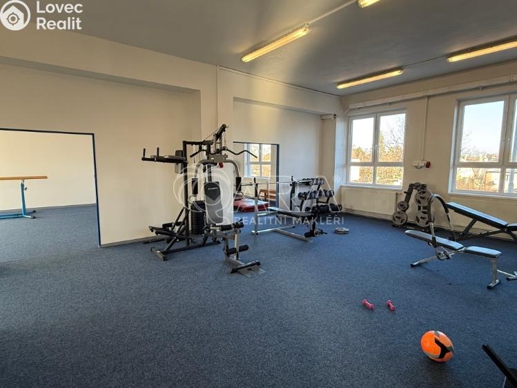 Rent warehouse Frenštát pod Radhoštěm, Martinská čtvrť 1698 č. 12