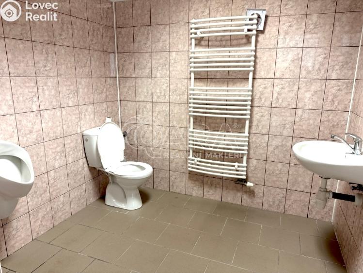 Rent warehouse Frenštát pod Radhoštěm, Martinská čtvrť 1698 č. 15