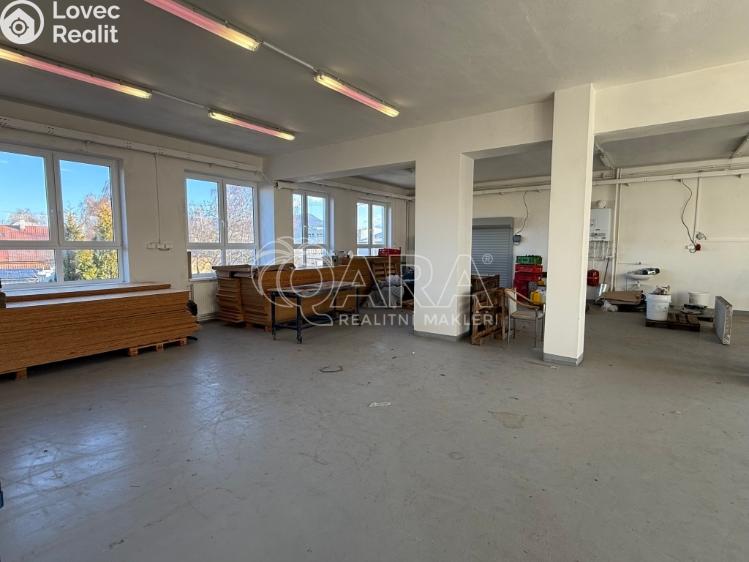 Rent production hall Frenštát pod Radhoštěm, Martinská čtvrť 1698 č. 4