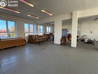 Rent production hall Frenštát pod Radhoštěm, Martinská čtvrť 1698 č. 4