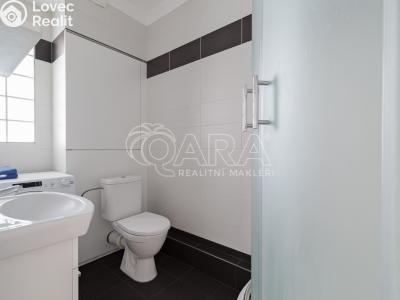 Pronájem bytu 1+1 Ostrava, Arbesova č. 4