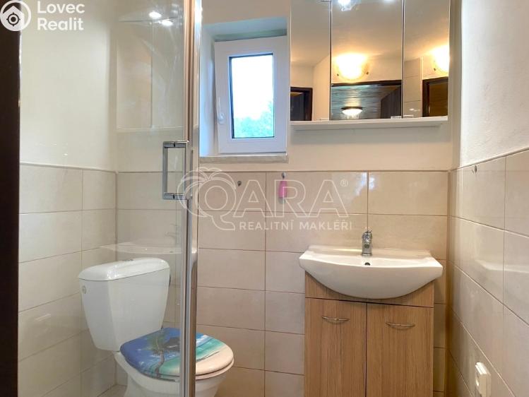 Оренда сімейного будинку Zubří, Na Kopci 883 č. 5