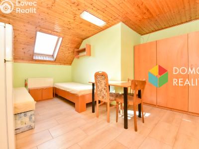 Pronájem pokoje Týček č. 1