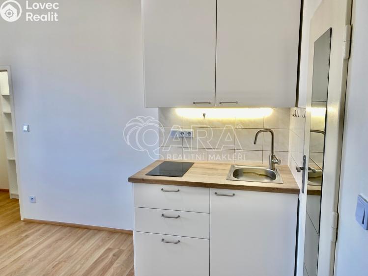 Pronájem bytu 1+KK Praha, V Horkách 1386/5 č. 4