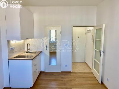 Pronájem bytu 1+KK Praha, V Horkách č. 1