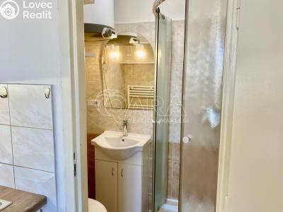 Pronájem bytu 1+KK Praha, V Horkách č. 3