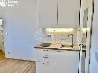 Pronájem bytu 1+KK Praha, V Horkách č. 4