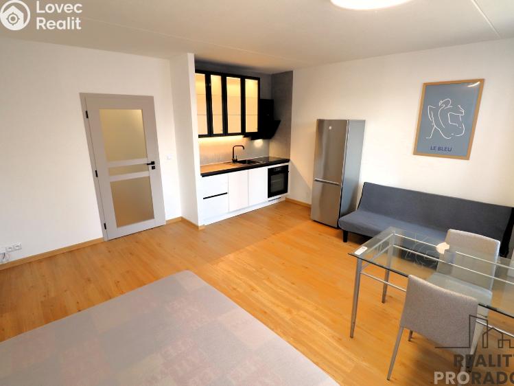 Pronájem bytu 1+KK Brno, Velkopavlovická č. 1