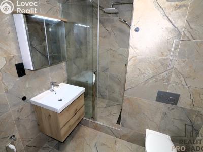 Pronájem bytu 1+KK Brno, Velkopavlovická č. 4