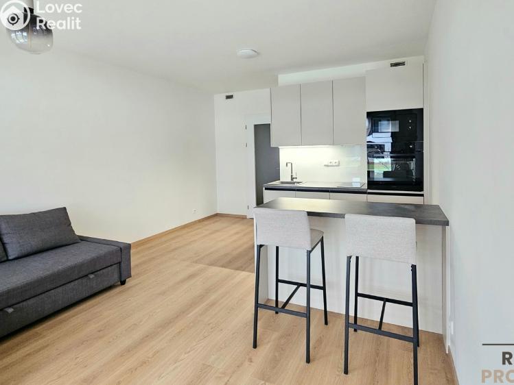 Rent apartment 1+KK Praha, Poděbradská 206/57 č. 3