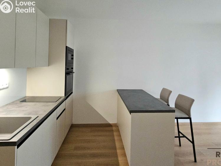 Rent apartment 1+KK Praha, Poděbradská 206/57 č. 4