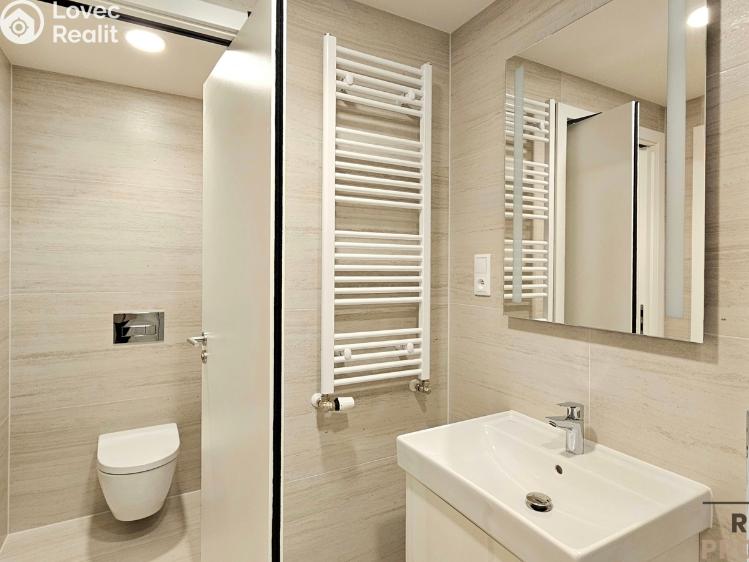 Rent apartment 1+KK Praha, Poděbradská 206/57 č. 10