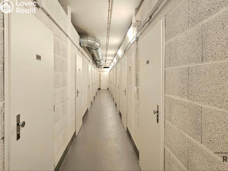 Rent apartment 1+KK Praha, Poděbradská 206/57 č. 20