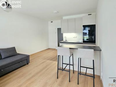 Pronájem bytu 1+KK Praha, Poděbradská č. 3