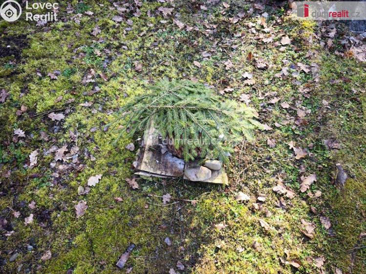 Prodej chaty Šťáhlavy č. 112