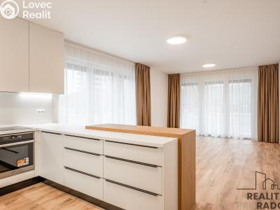 Pronájem bytu 3+KK Praha, Klapálkova č. 1