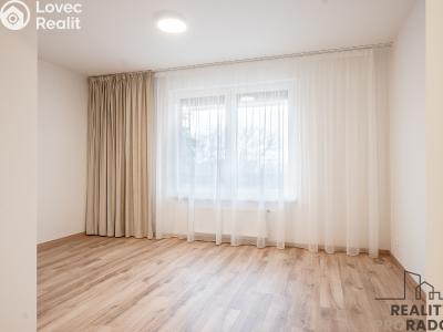 Pronájem bytu 3+KK Praha, Klapálkova č. 2