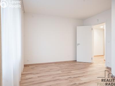 Pronájem bytu 3+KK Praha, Klapálkova č. 3