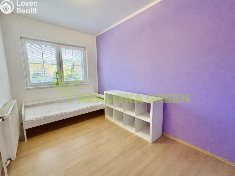Pronájem bytu 2+1 Provodov č. 5