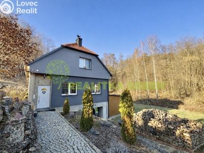 Pronájem bytu 2+1 Provodov č. 1