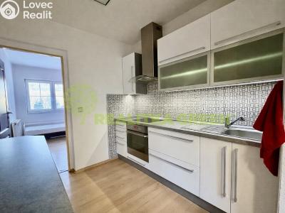 Pronájem bytu 2+1 Provodov č. 3